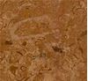 Picture of Fossil Gold Limestone