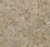 Picture of Golden Flower Limestone