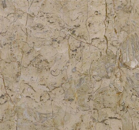 Picture of Golden Flower Limestone