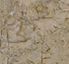 Picture of Golden Flower Limestone