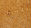 Picture of Jaisalmer Fossil Limestone