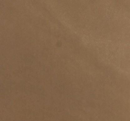 Picture of Delhi Brown Sandstone