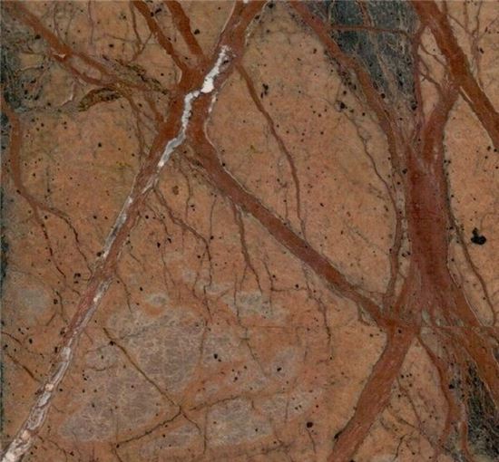 Picture of Cafe Forest Marble