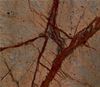 Picture of Cafe Forest Marble