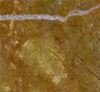 Picture of Golden Flower Marble