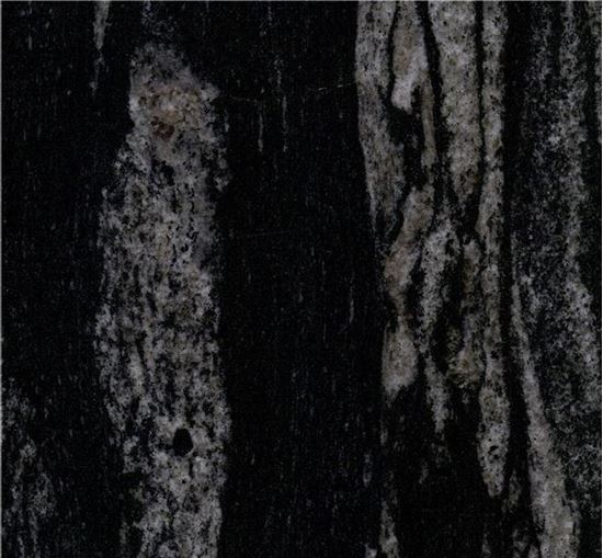 Picture of Black Forest