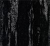 Picture of Black Forest