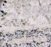 Picture of Biscotti White Granite