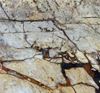 Picture of Arizona Forest Granite