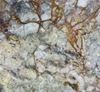 Picture of Arizona Forest Granite