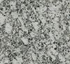 Picture of P White Granite