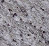 Picture of Warner White Granite