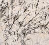 Picture of White Glimmer Granite