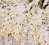 Picture of Venice Cream Granite