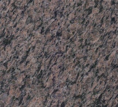 Picture of Camel Brown Granite