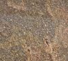 Picture of India Copper Brown Granite
