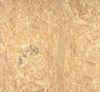 Picture of Millenium Gold Granite