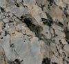 Picture of Coral Gold Granite