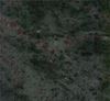 Picture of Tropical Green Granite