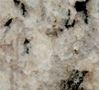 Picture of Colonial Cream Granite