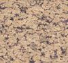 Picture of Raniwara Yellow Granite