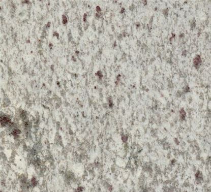 Picture of Leopard White Granite